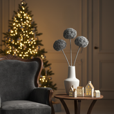 Allium IZIA NOEL